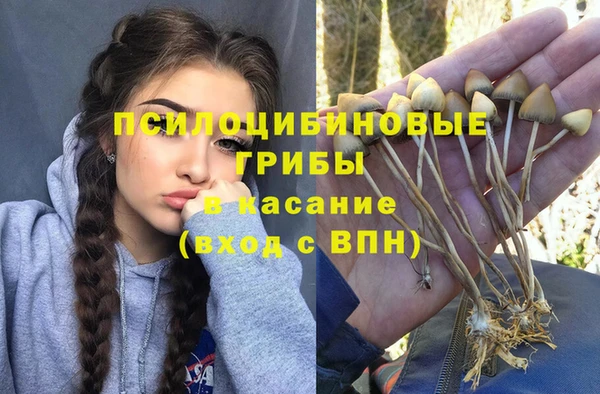 ПСИЛОЦИБИНОВЫЕ ГРИБЫ Балахна