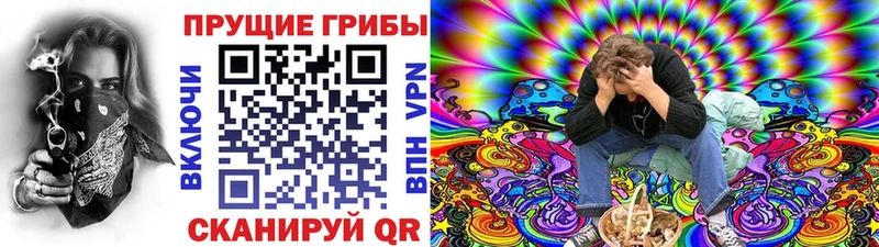хочу   Свирск  Галлюциногенные грибы Psilocybe 