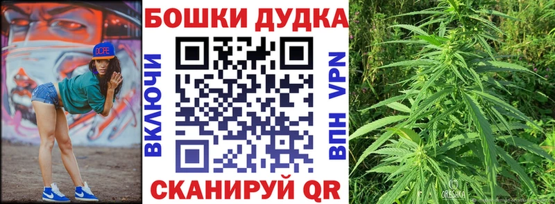 MEGA ONION  купить закладку  Свирск  Бошки марихуана сатива 